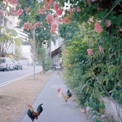 娱乐宝官网app下载