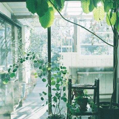 小罗代言米乐体育app下载手机版