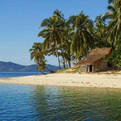 万博manbetx官方网站登录