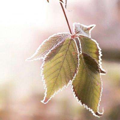 大众彩票入口welcome